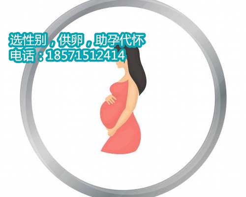 成都代怀孕公司哪个好,22022北京市正规私立助孕机构试管费用
