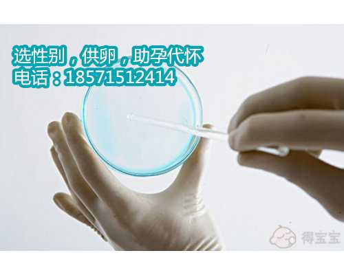 成都代怀中介有哪几个,广东妇幼保健院试管婴儿医生评价