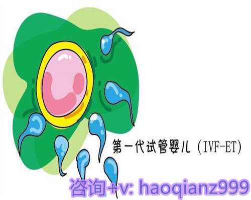 成都代怀孕流程解析与广东生育奖励假详解