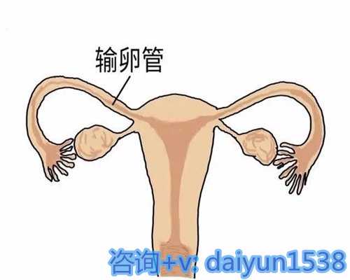 揭秘成都代怀孕资质与清宫图的由来：一份深度解析