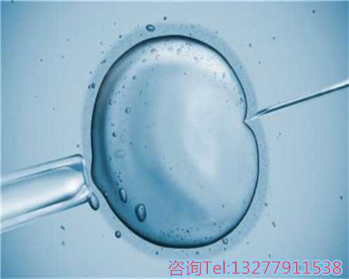 成都代怀孕咨询,冬季喝汤的好处