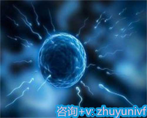 代怀孕的流程及国内供卵条件解析