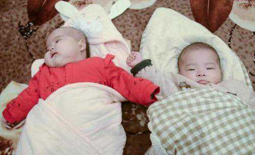 供卵生育新篇章：揭秘2026年九价疫苗费用与辅助生殖