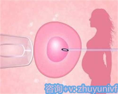 成都代怀孕经验分享：育儿假与试管助孕之路