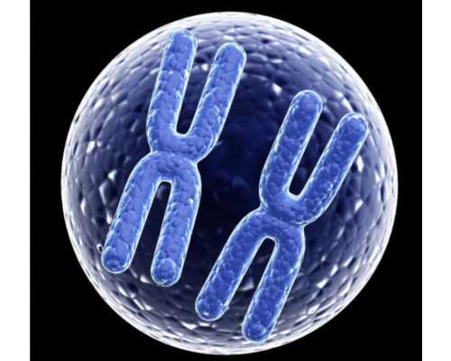 处理产假后育儿困难：了解代怀生育流程