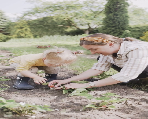 成都试管助孕：剖析卵巢妊娠的两种类型及流程