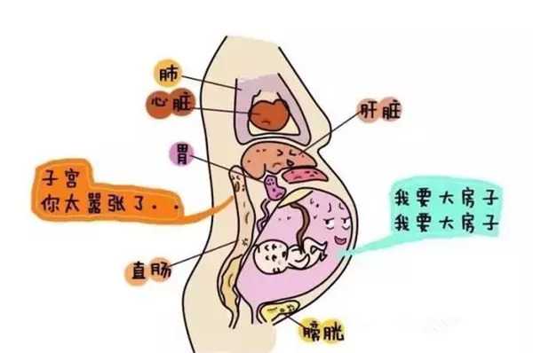 太原供卵医院推荐与试管婴儿常见问题解答