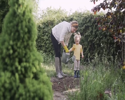 怀孕10天能否验出？解析早期妊娠检测的准确性
