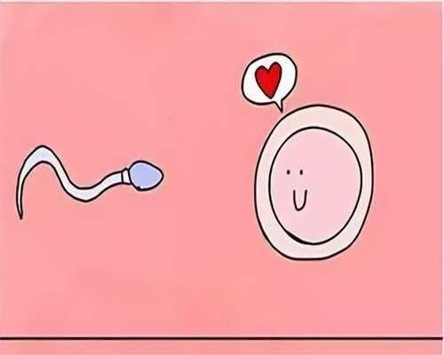 探讨惠州中心医院供精试管可行性与代生助孕服务