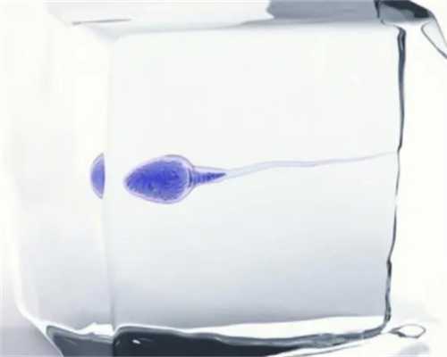 引导孩子良好习惯的策略与实践