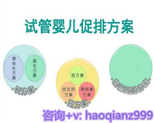 成都助孕专家解析：试管婴儿助孕全流程指南