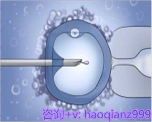 成都代怀孕咨询：省内生育福利及助孕费用全解析