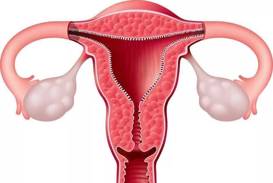 取卵当日是否能识别空卵泡