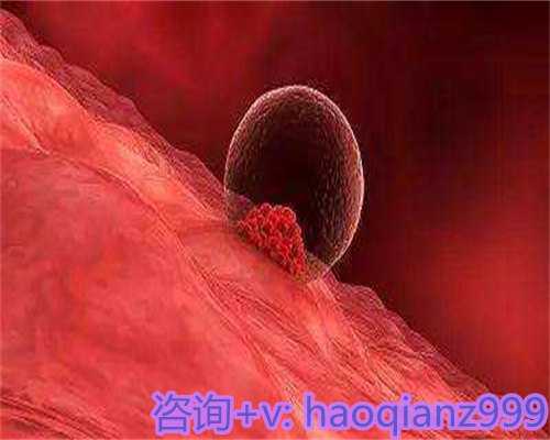 成都代怀孕捐卵：取卵后饮食指南与生育知识科普