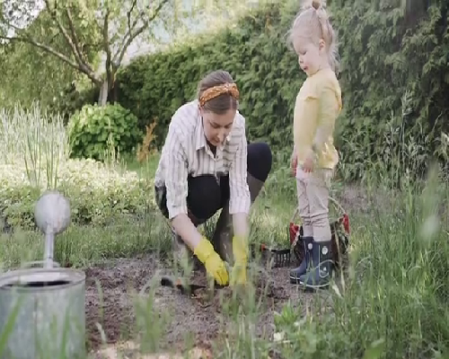 2020成都代怀孕价格表,湖北三胎补贴政策