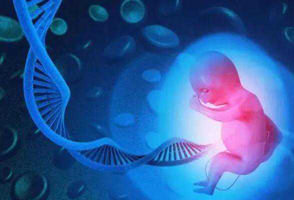 解析二手烟对胎儿的潜在风险，辅助生殖技术助孕新选择